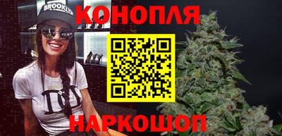 дживик Кингисепп