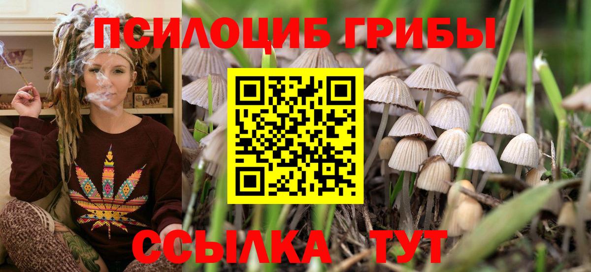 Галлюциногенные грибы ЛСД  Псилоцибиновые грибы GOLDEN TEACHER  Вход с VPN  Королёв 